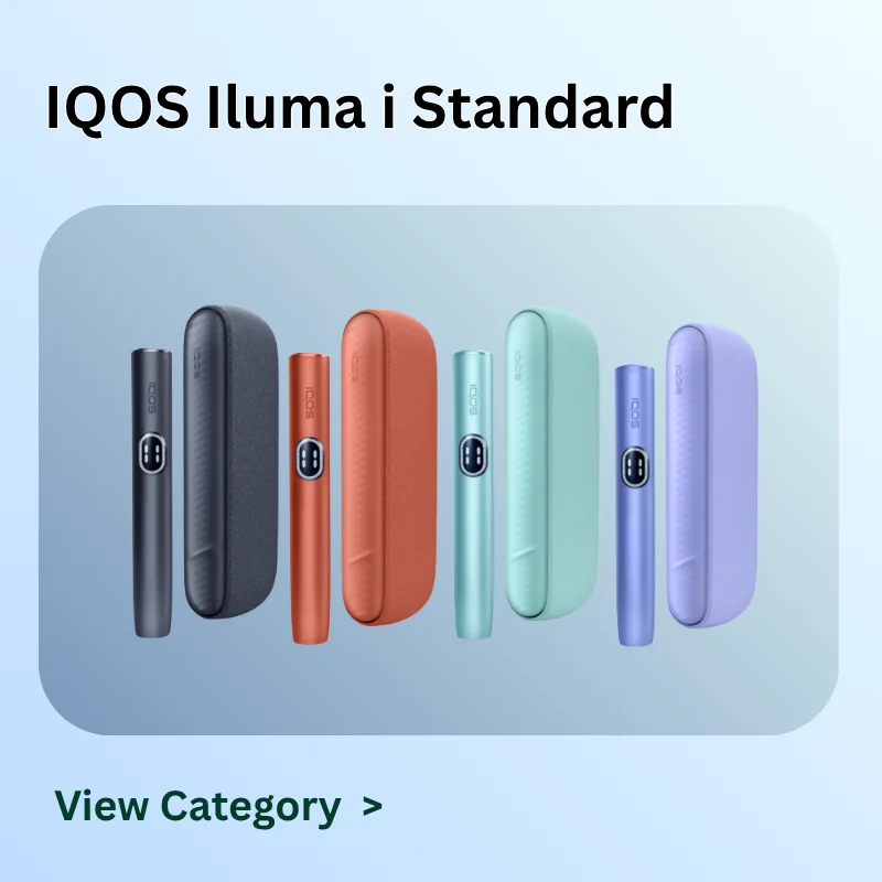 Iluma i Standard