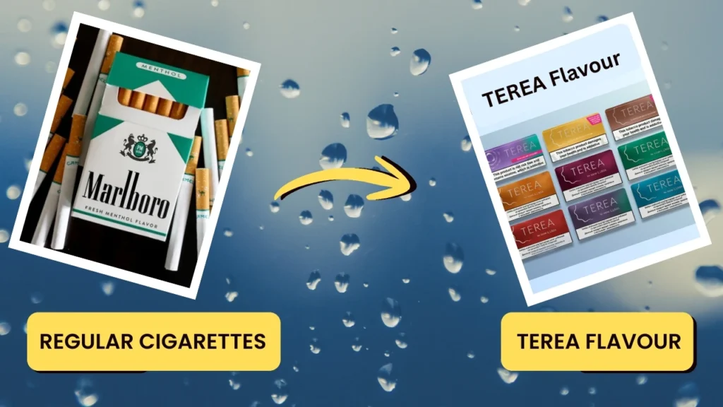 TEREA flavors