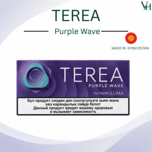 IQOS TEREA Purple Wave Kyrgyzstan