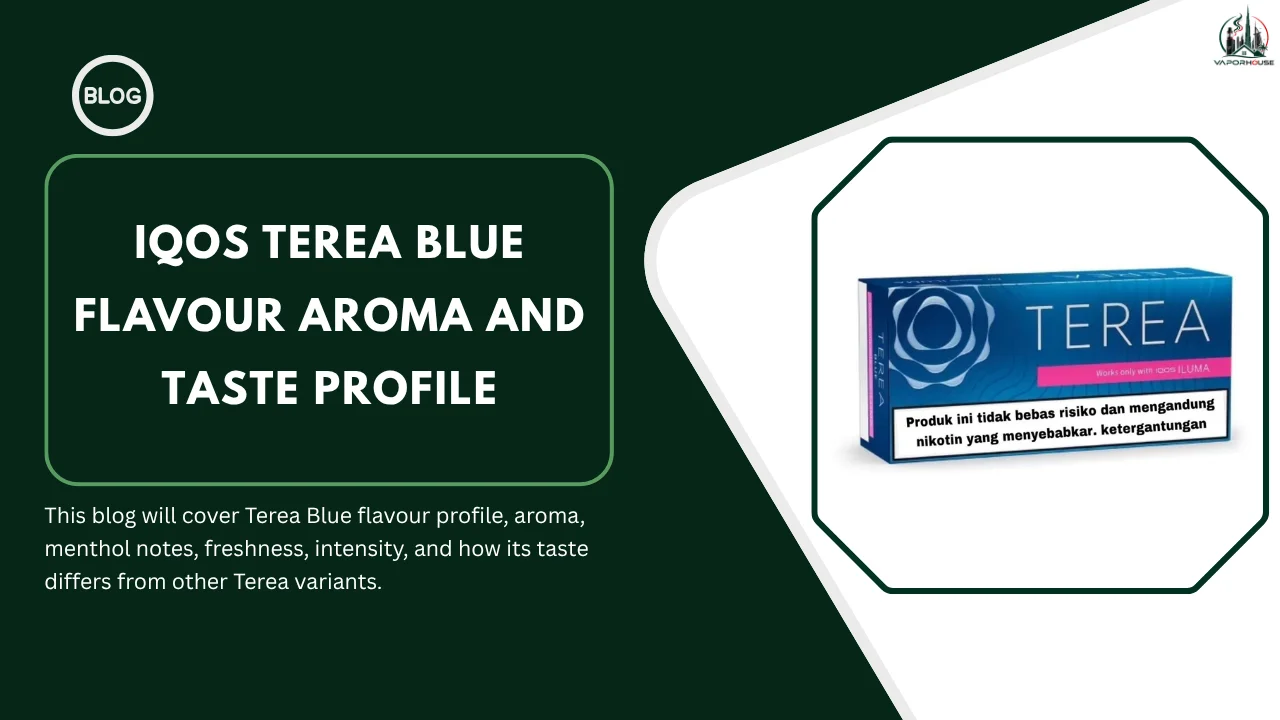 IQOS TEREA Blue Flavour Aroma and Taste Profile