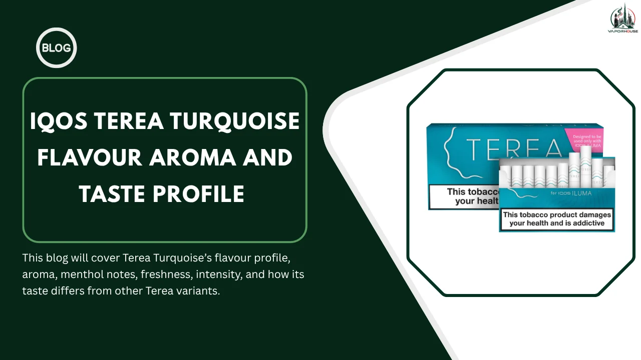 IQOS TEREA Turquoise Flavour Aroma and Taste Profile