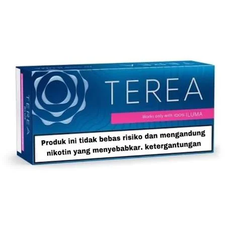 Top 10 Ranked TEREA Flavours in UAE 10 TEREA Blue Indonesia