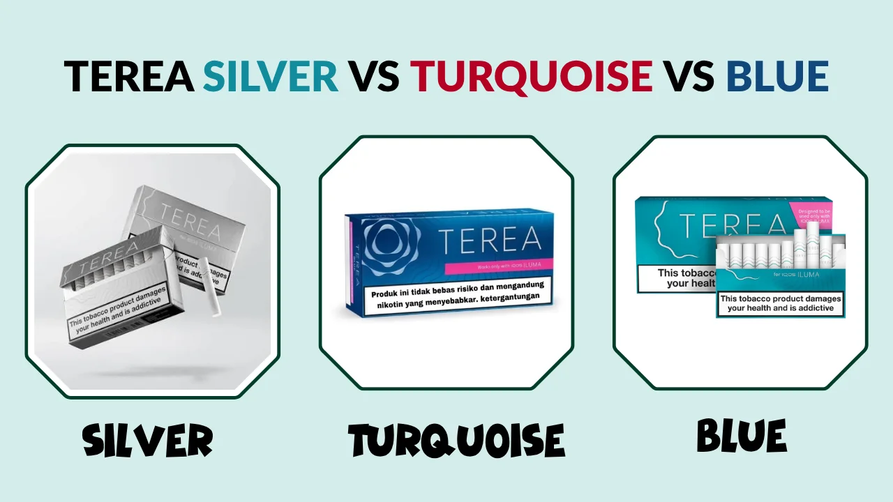 Terea Silver vs Turquoise vs Blue 3 Popular Terea Flavour Comparison